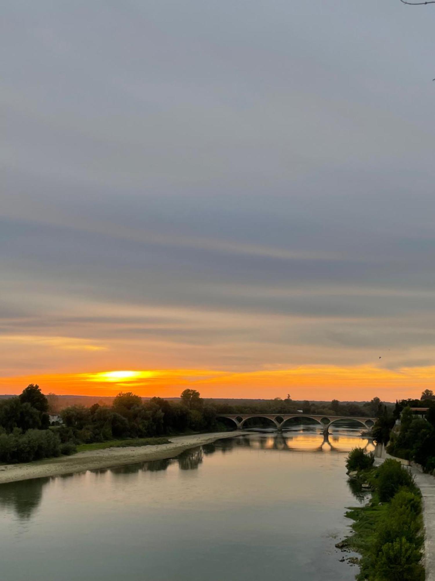 Hotel Restaurant Cote Garonne Le Balcon Des Dames - Tonneins Fauillet Marmande - Vue Panoramique Bord De Garonne Chambres Climatisees Exterior photo
